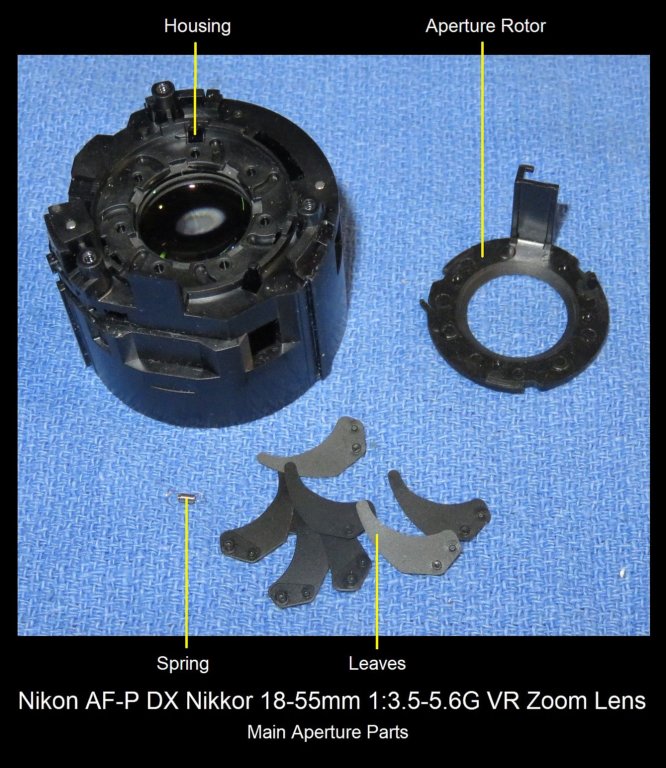 n1855pap.jpg