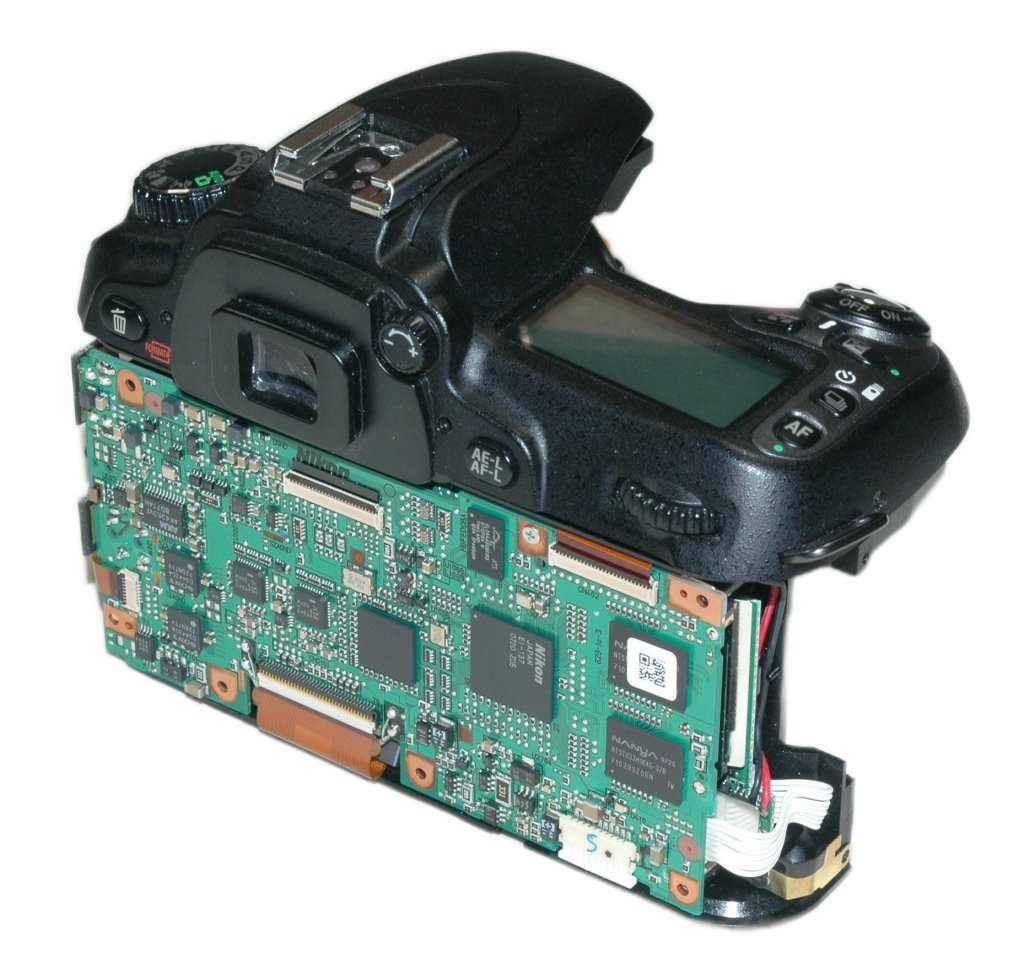 d80back_right.jpg